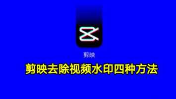 视频如何去掉logo水印