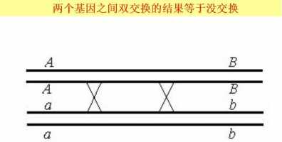 染色体结构模式图怎么看?