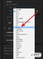 PR导出mp4是什么格式的?