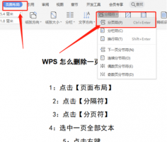 怎么删除word文档的页码