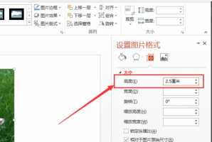 PPT将插入的图片设置得和幻灯片一样大小