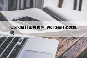 word转翻译中文是什么意思