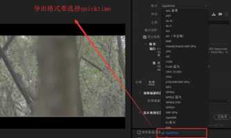 pr视频导出怎样选取参数pr视频导出怎样选取参数格式