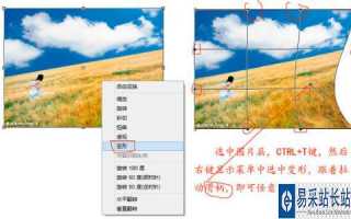 ps变形如何只动一个角ps图形变形怎么只变一个点