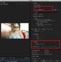 如何在PR软件中设置导出高清视频