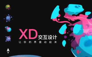 求助,xd交互怎么做