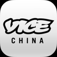 vice是什么意思