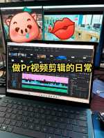 怎么在PR软件中制作抖音同款比例的视频